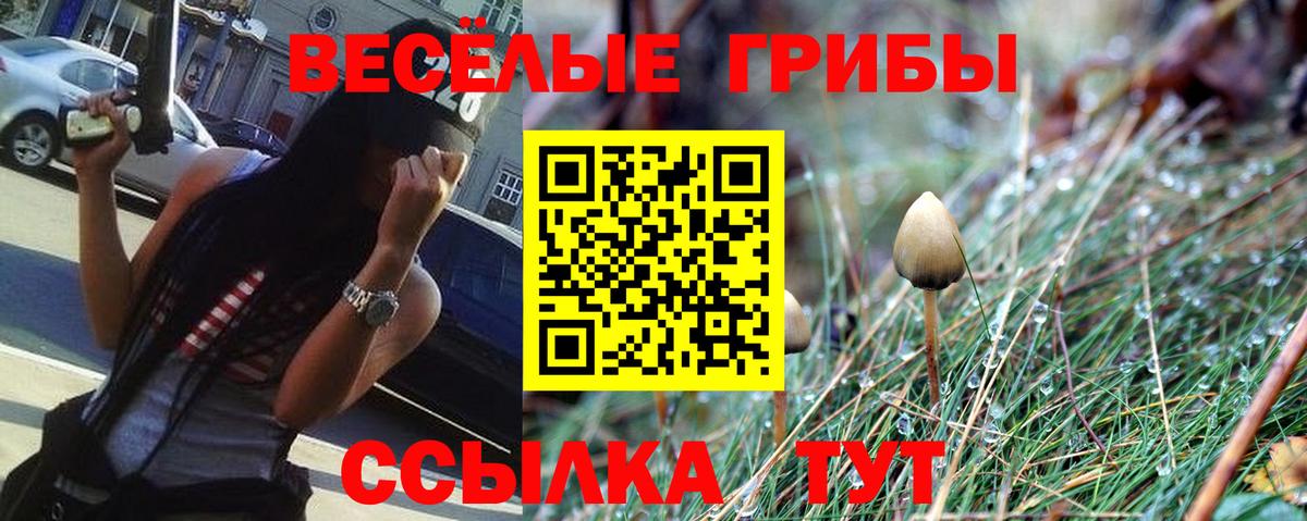 Псилоцибиновые грибы прущие грибы Нягань