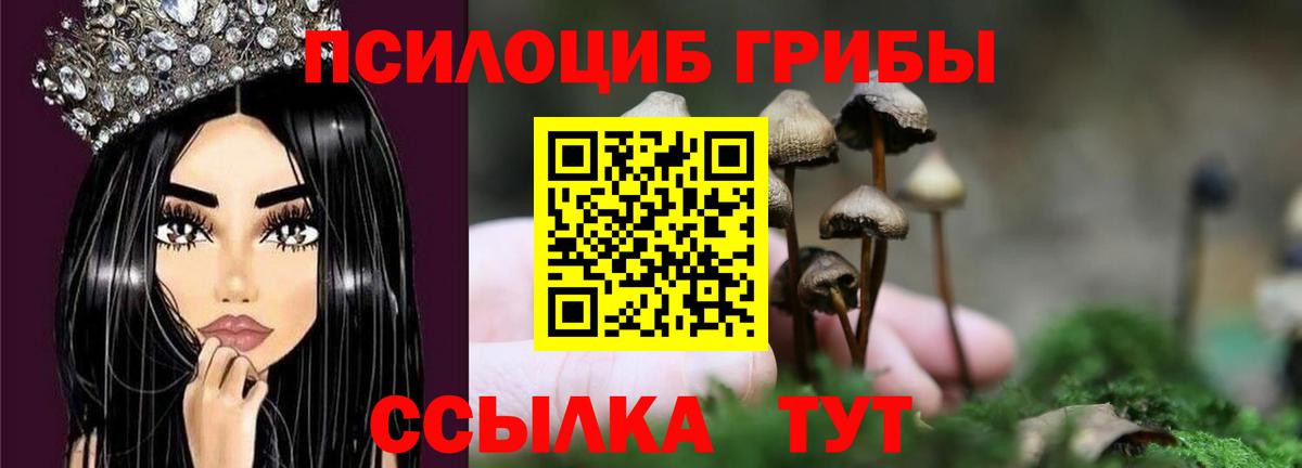 Галлюциногенные грибы Psilocybe  Псилоцибиновые грибы GOLDEN TEACHER  Вход с VPN  Нягань 
